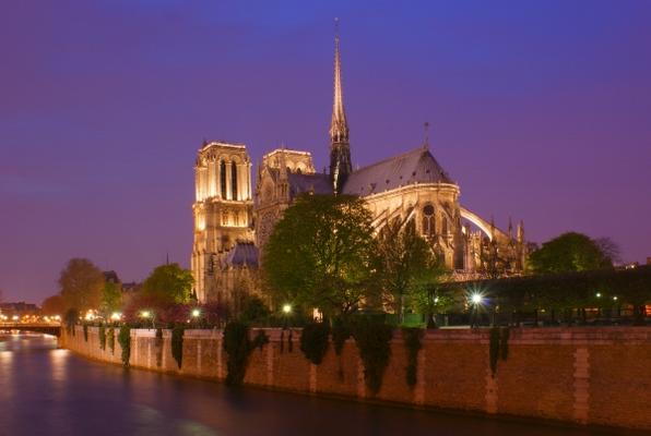 Notre Dame von Manuel Lesch