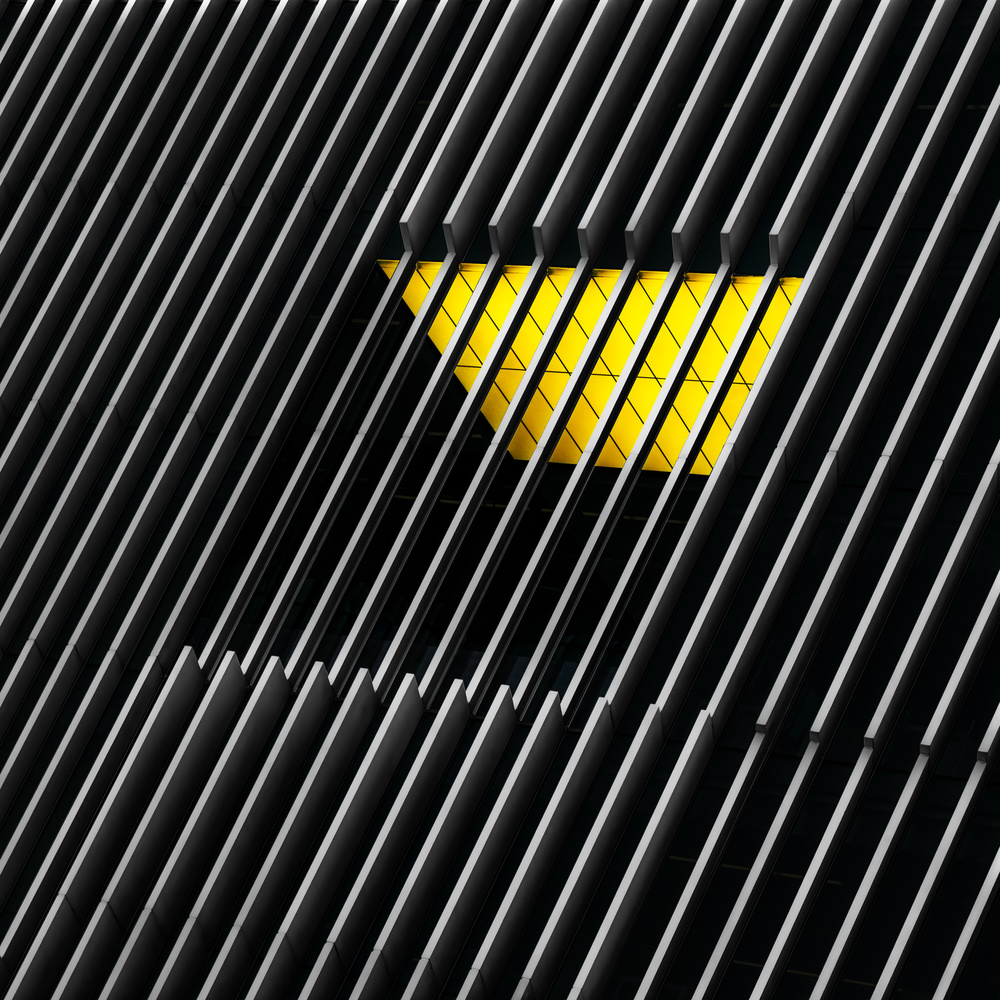 Caged window von Marc Huybrighs