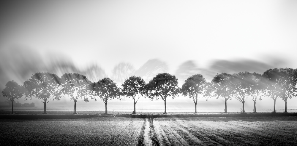 T line von Marc Huybrighs