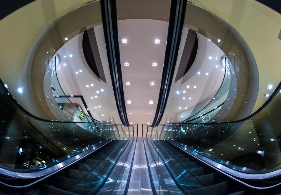 The octopus von Marc Pelissier