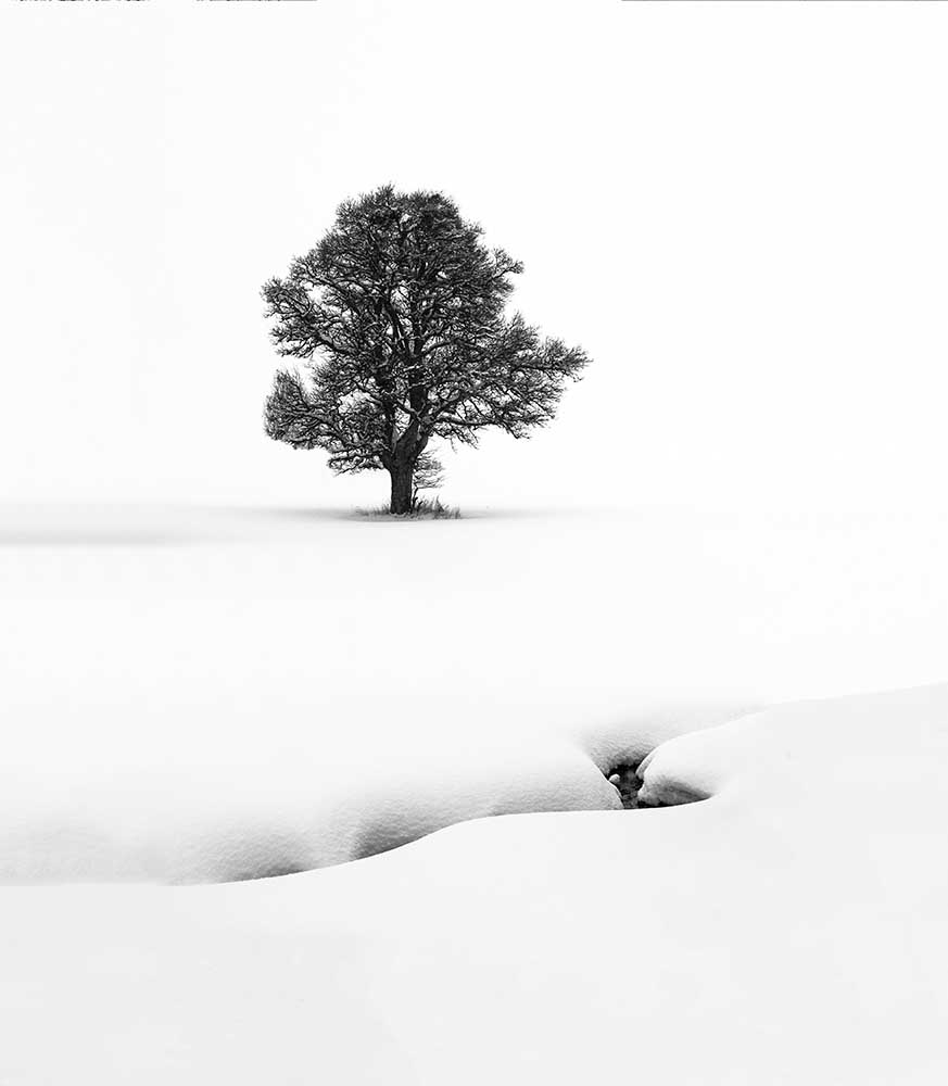 Le Solitaire von Marc Pelissier