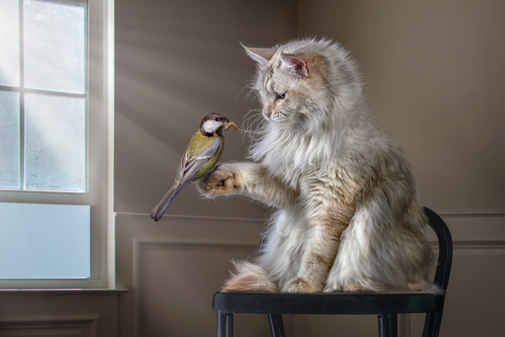 HelloFriend von Marcel Egger