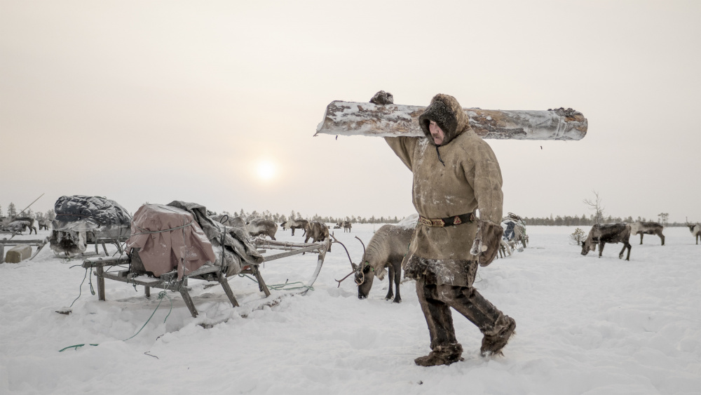 Arkadij prepares firewood von Marcel Rebro