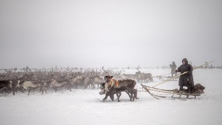 Arkadij and Kolja riding the herd