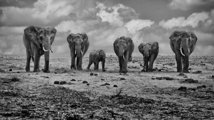 Big Family von Marcel Rebro