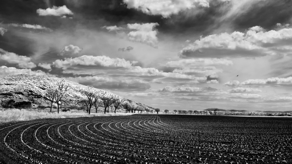 Bio athletic stadium von Marcel Rebro