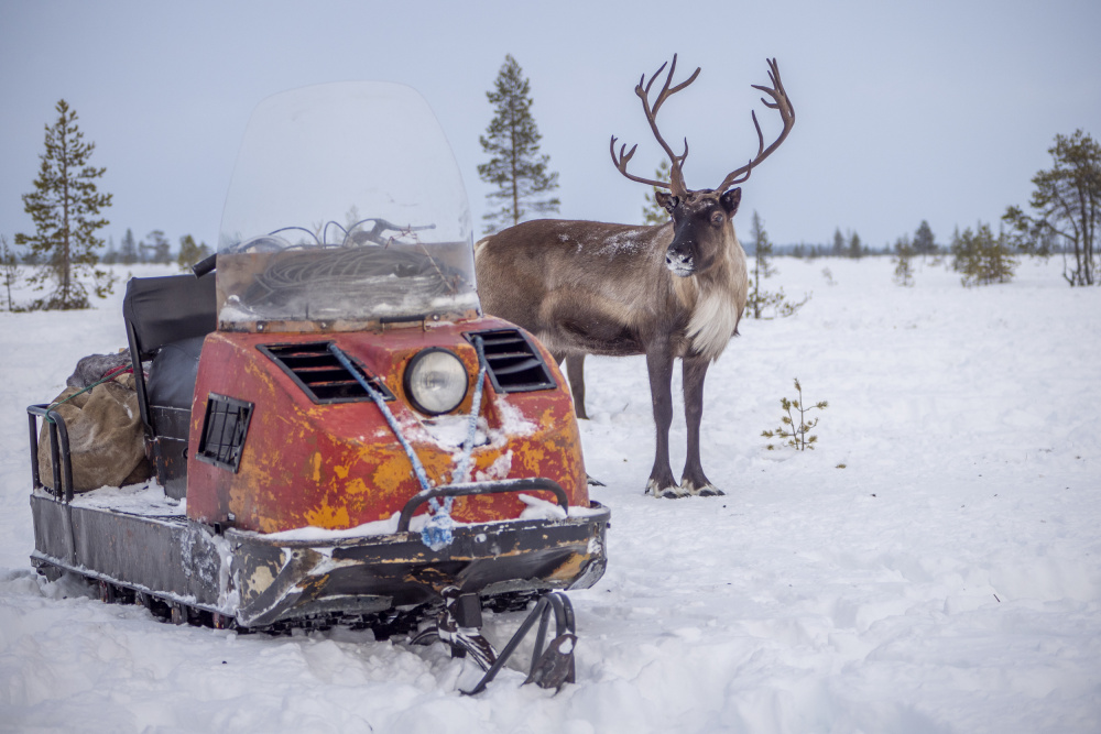 So you are going to replace me? von Marcel Rebro