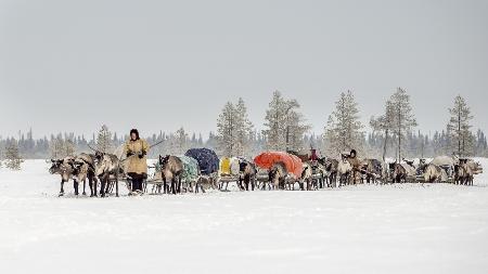 Women from the 8th Brigade on their way to the new camp