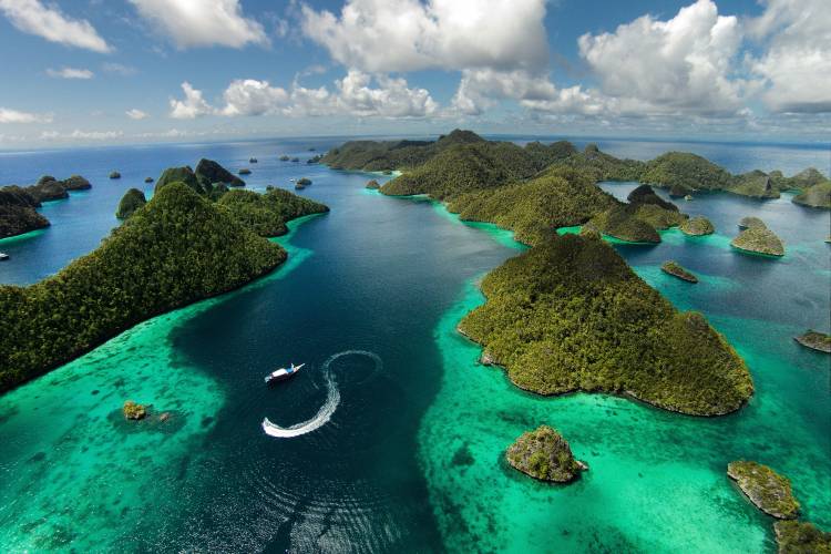 Green paradise von Marcel Rebro