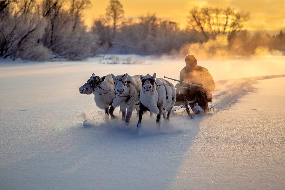 Jigori von Marcel Rebro