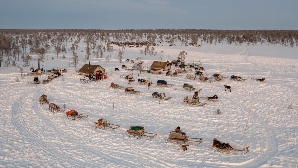 Morning in Nenets camp von Marcel Rebro