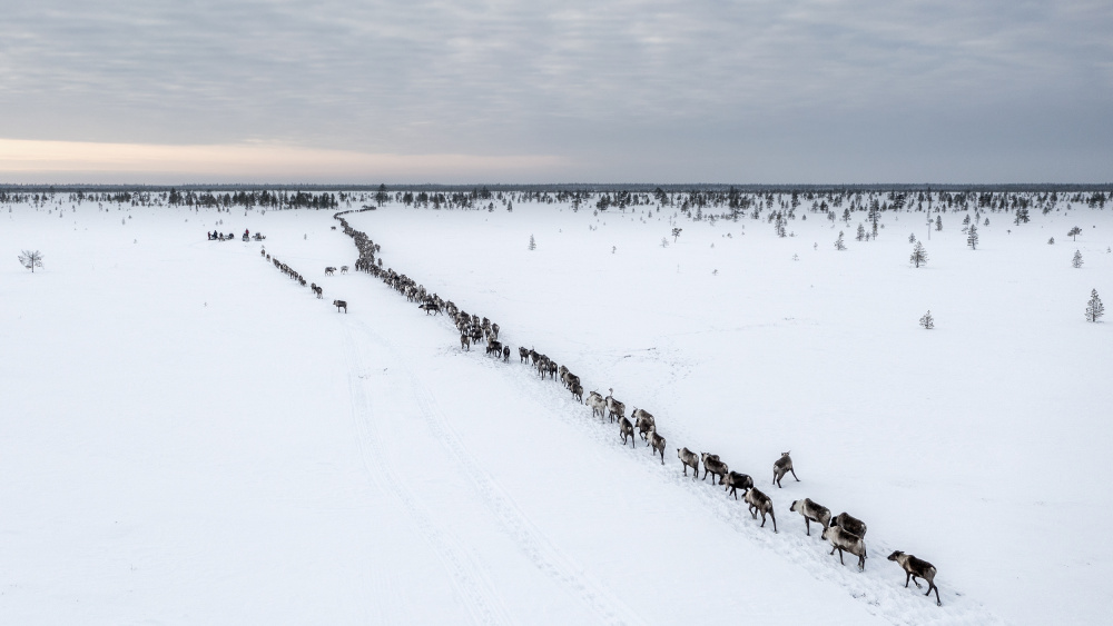 Break during transfer to the new camp von Marcel Rebro