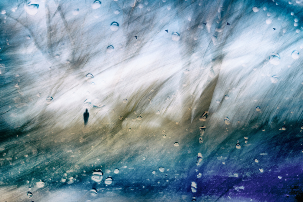 the storm within von Marchevca Bogdan