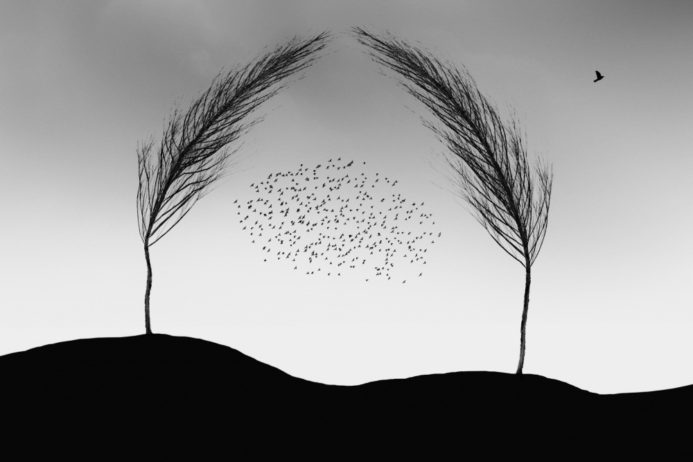 a new beginning von Marchevca Bogdan