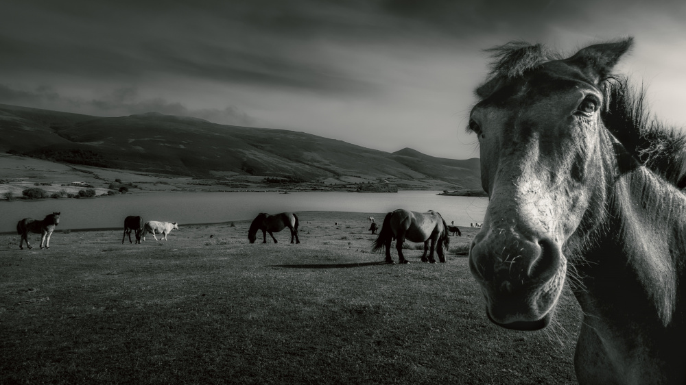 good morning von Marco Antonio Cobo