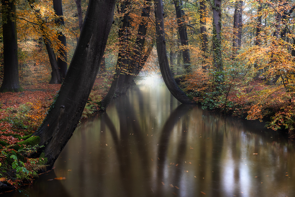Autumn von Marco Galimberti
