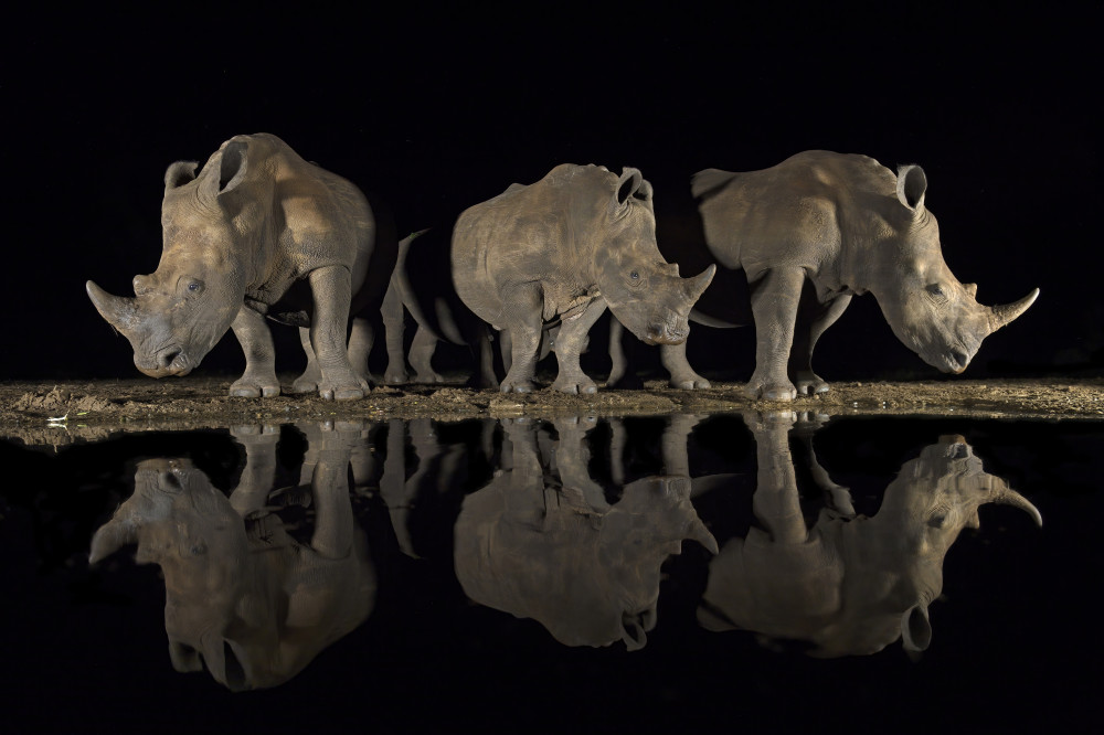 Three guys von Marco Pozzi