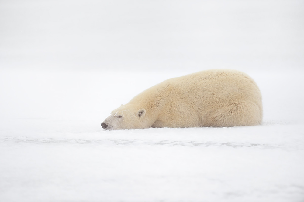 Feel good von Marco Pozzi