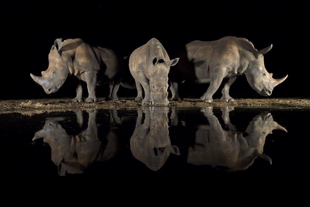 In the moonlight von Marco Pozzi