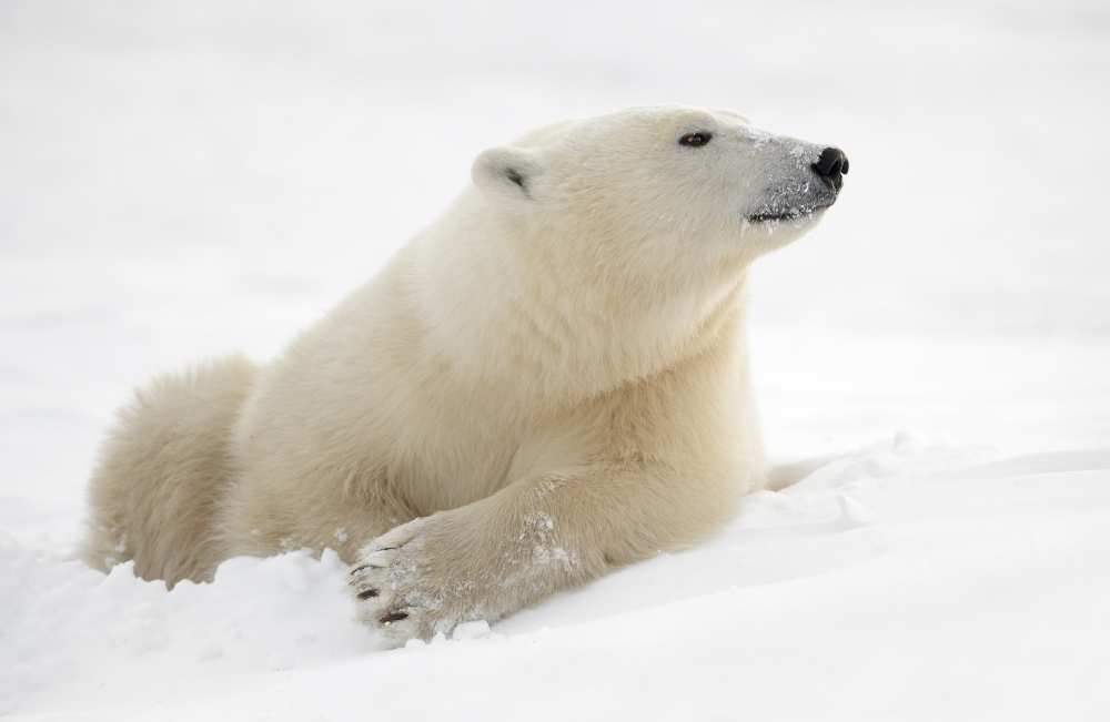 There's something in the air von Marco Pozzi