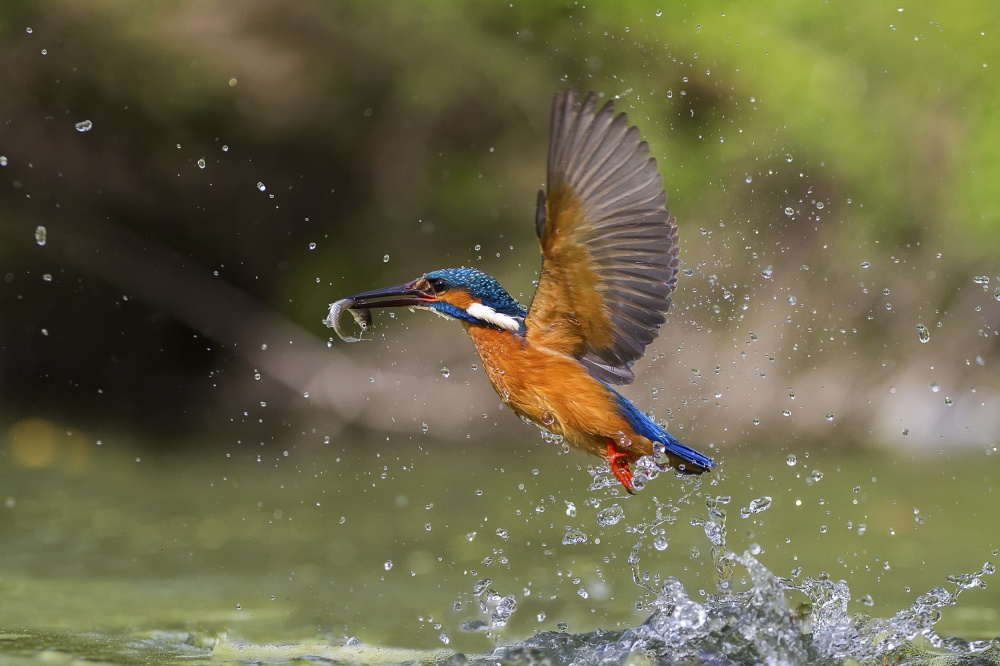 Fishing von Marco Redaelli