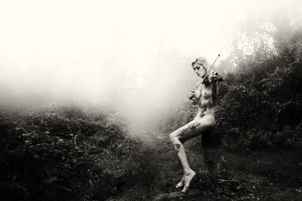 The song in the fog von Marco Redaelli