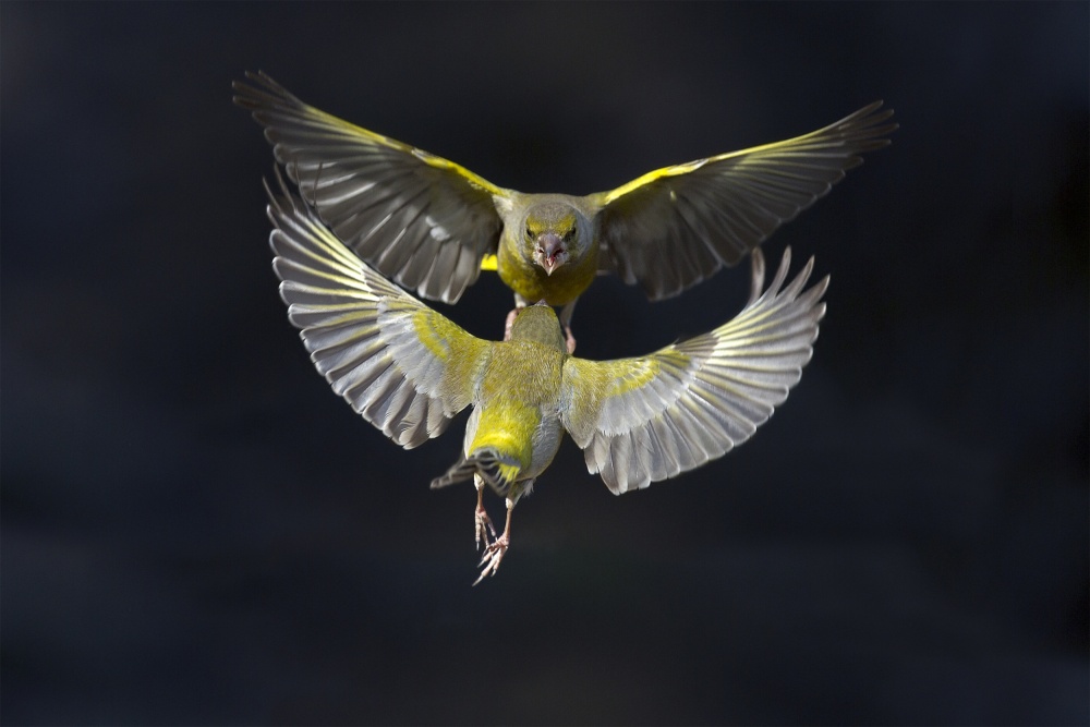 Like a mirror von Marco Redaelli