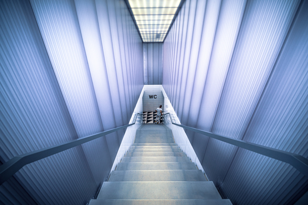 Descent to the toilet von Marco Tagliarino