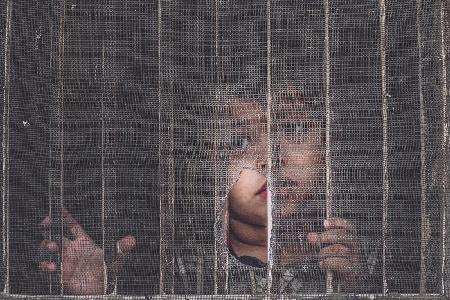 Eyes behind the windows