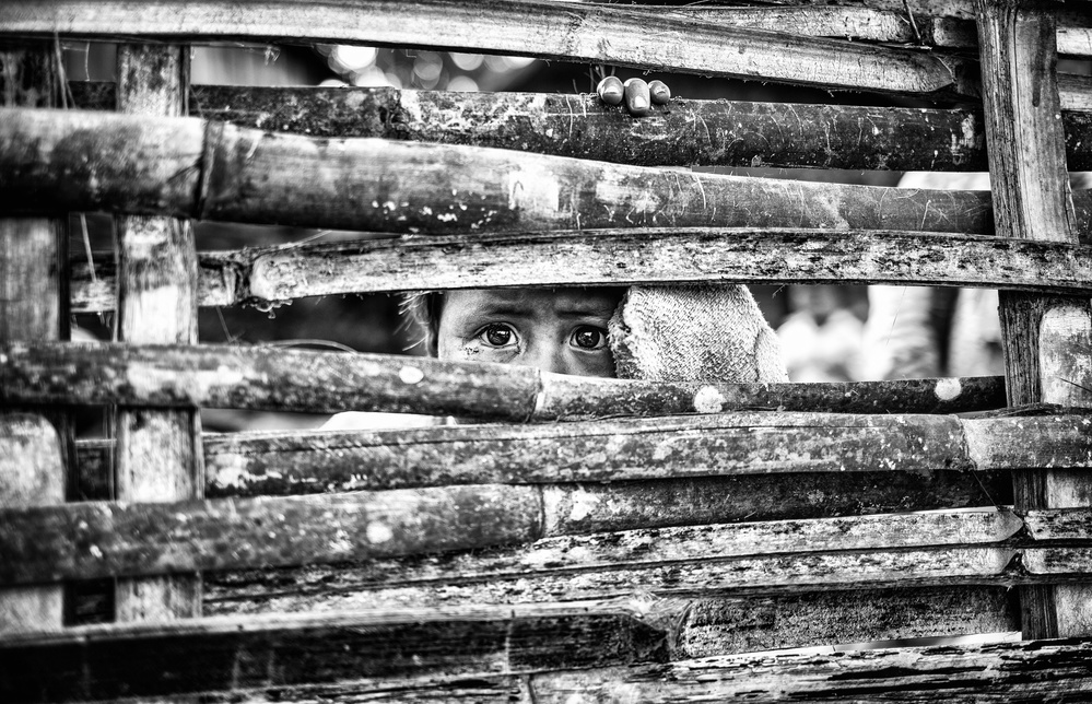 the eyes behind the fence von Marco Tagliarino
