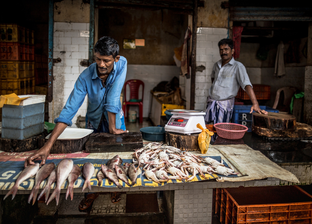Fishmongers von Marco Tagliarino