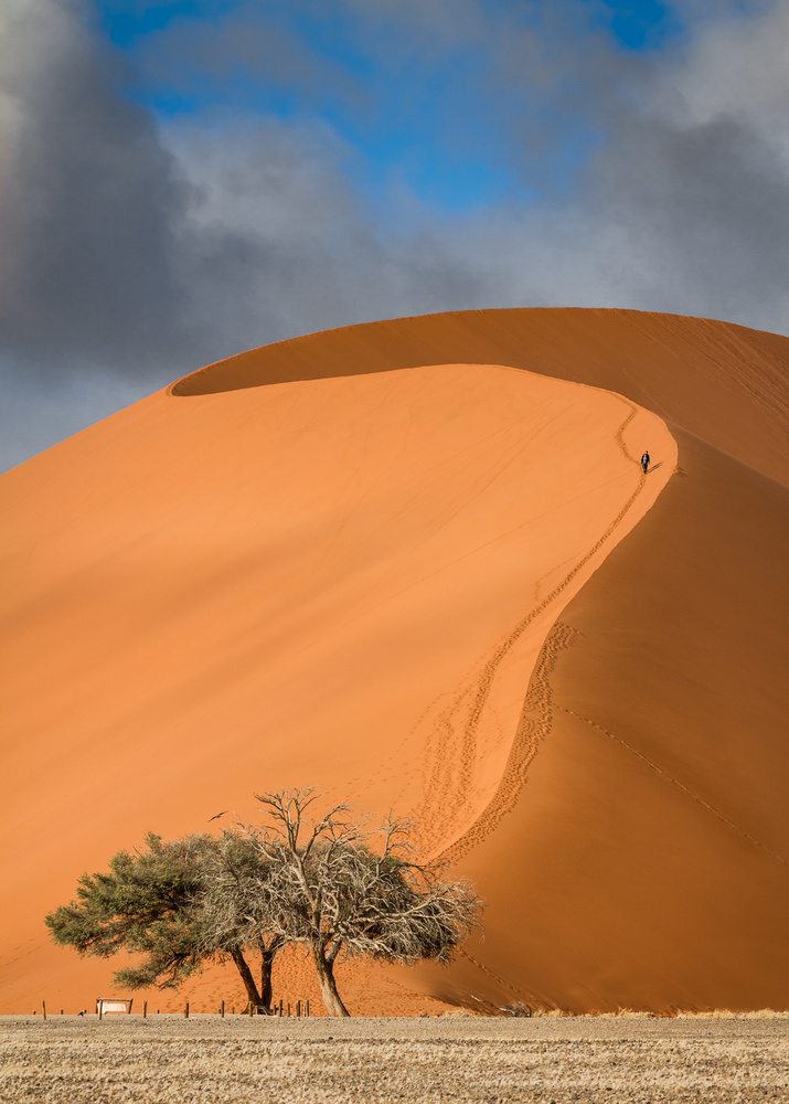 Golden realm von Marco Tagliarino