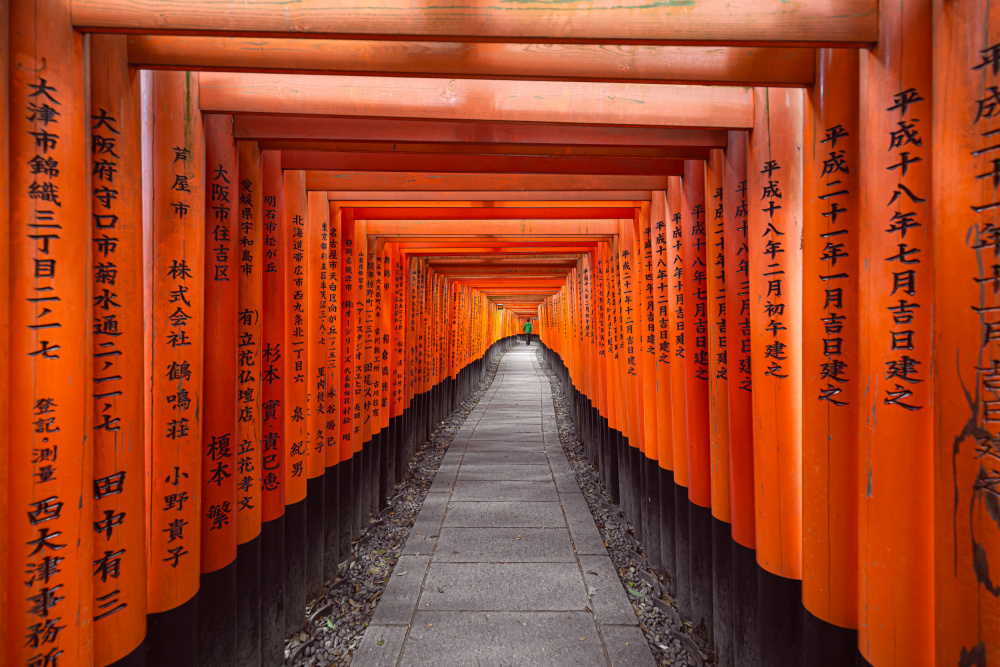Inari enlightened path von Marco Tagliarino
