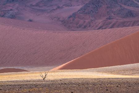Namibs palette