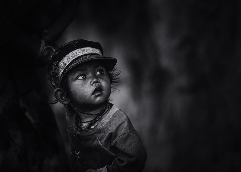 So curious von Marco Tagliarino