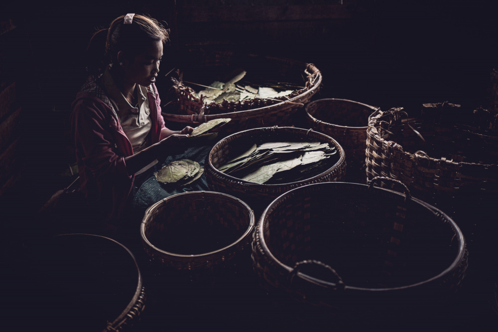Tobacco girl von Marco Tagliarino