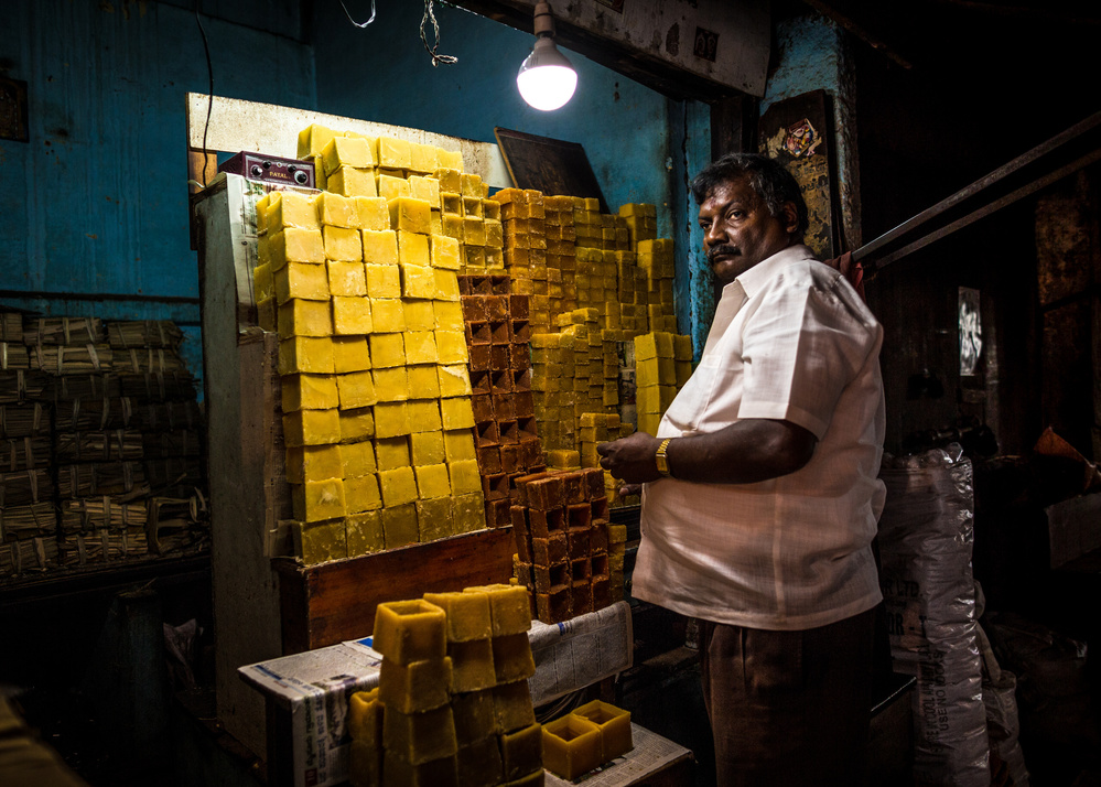 Sugar Cane von Marco Tagliarino