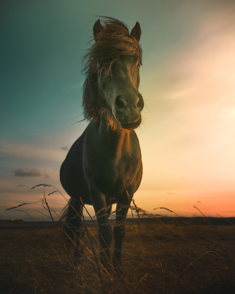 Sunset von Marcus Hennen