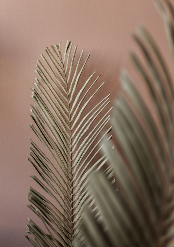 Last Summer 25 von Mareike Böhmer