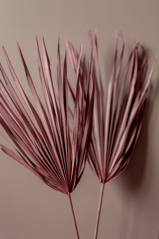 Last Summer 26 von Mareike Böhmer