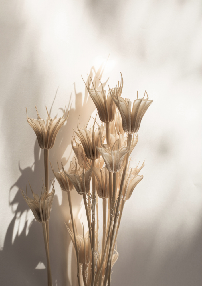 Last Summer 27 von Mareike Böhmer