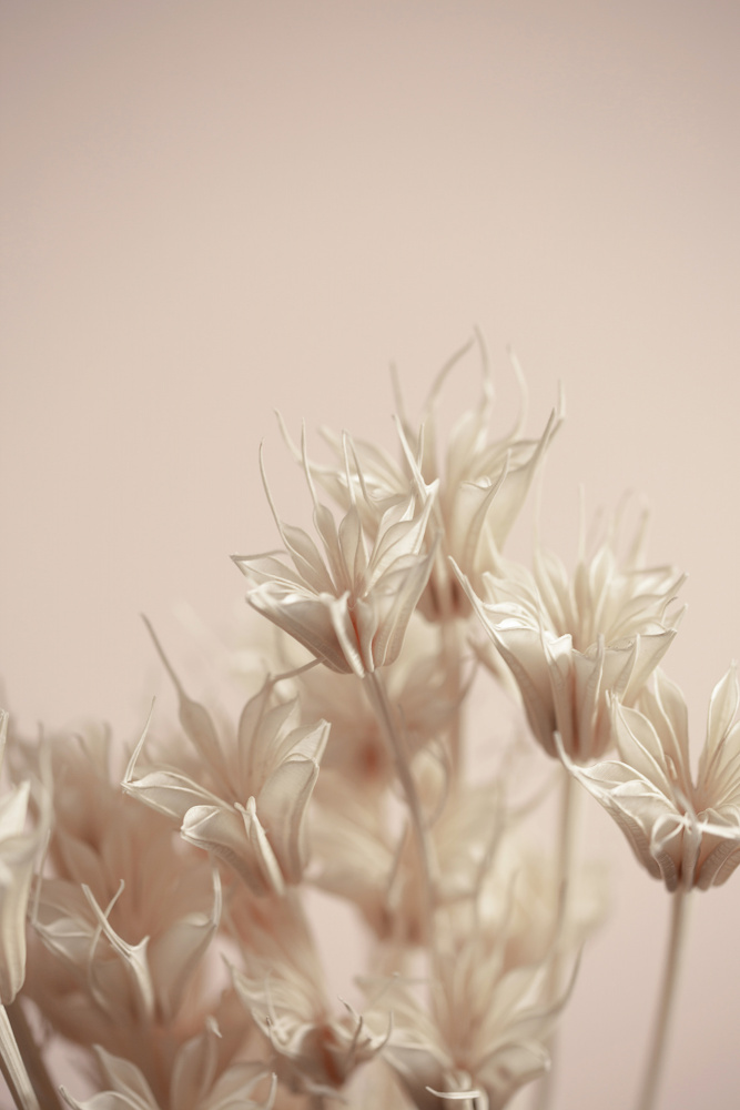 Last Summer 17 von Mareike Böhmer