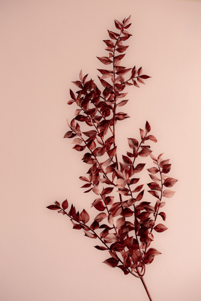 Last Summer 18 von Mareike Böhmer