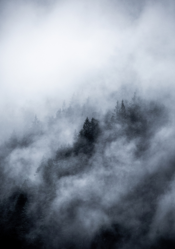 Foggy Morning 3 von Mareike Böhmer