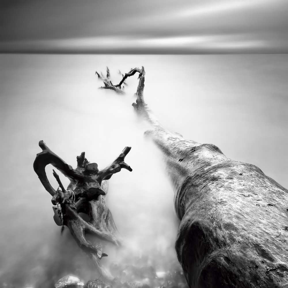 Dragon von Marek Kijevský