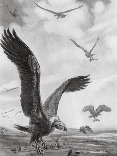 Vultures carrying off the Limbs of the Slain