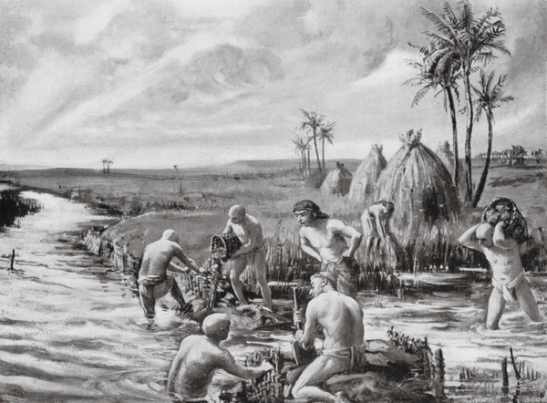 Draining the Marshes von Margaret Dovaston