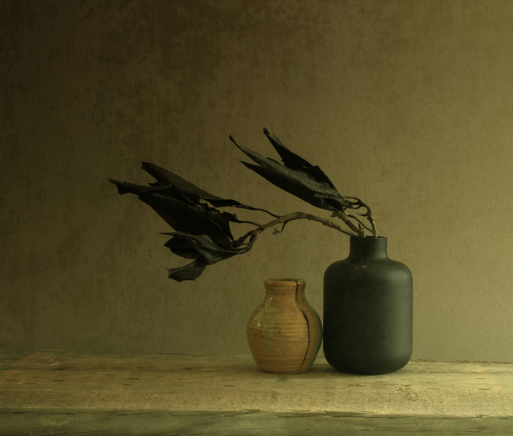 Dark matter von Margaret Halaby