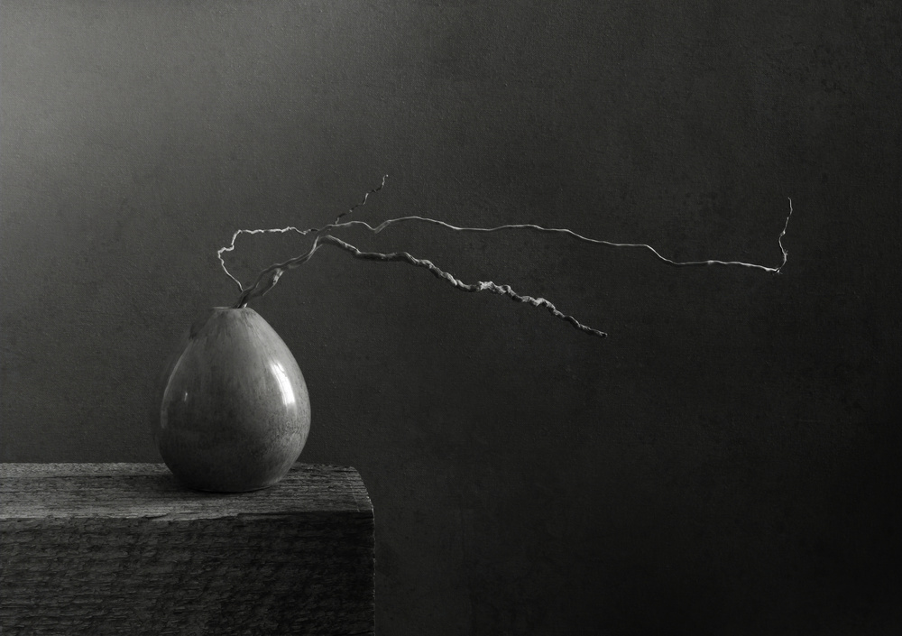 Desert Memento von Margaret Halaby