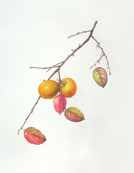 ohne Titel von Margaret Ann  Eden